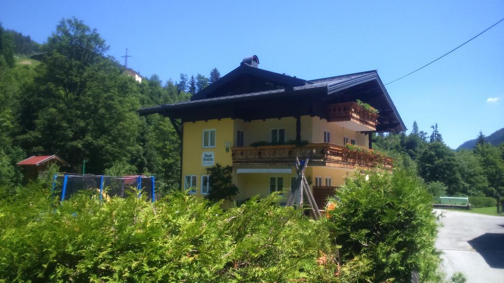 Haus Rosina Apartment Muhlbach Am Hochkonig Phòng bức ảnh
